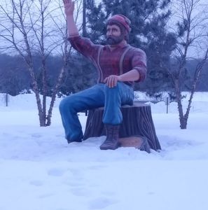 Meet your Posher, Lynn